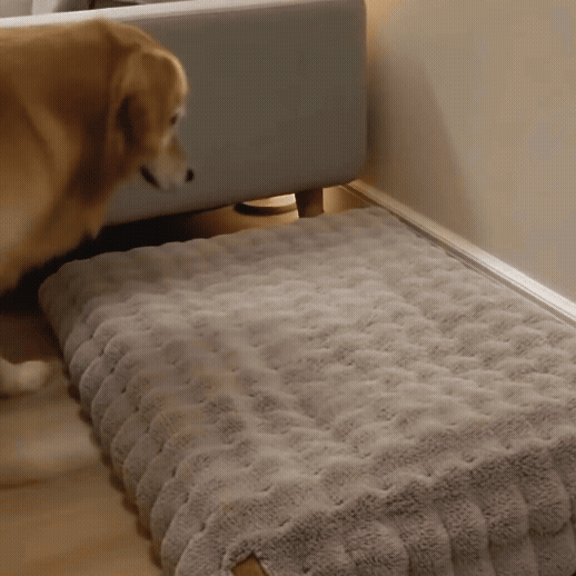 CloudPaw - Komfort & Geborgenheit für deinen Hund