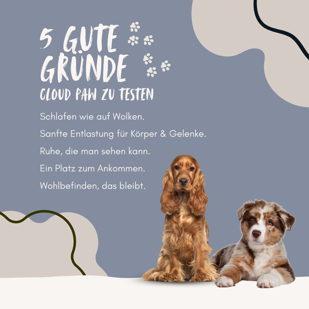 CloudPaw - Komfort & Geborgenheit für deinen Hund
